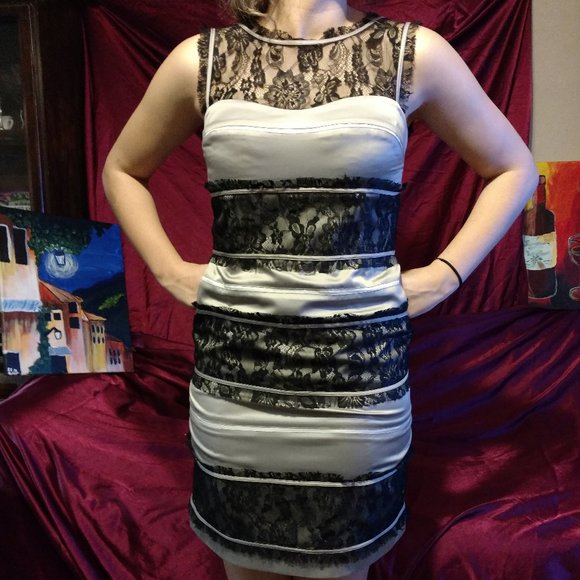 BCBGeneration Silver Satin & Lace Cocktail Dress 12 - Picture 1 of 10